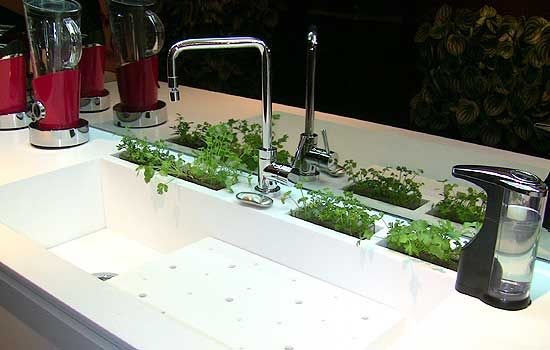mini horta na bancada