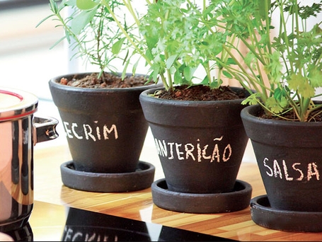 Mini- horta para sua casa