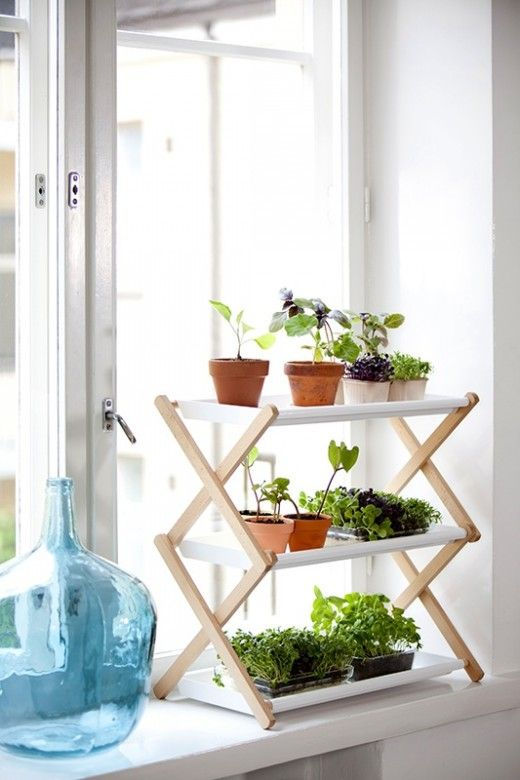 mini horta em prateleiras