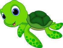 Under the Sea - The Turtle
