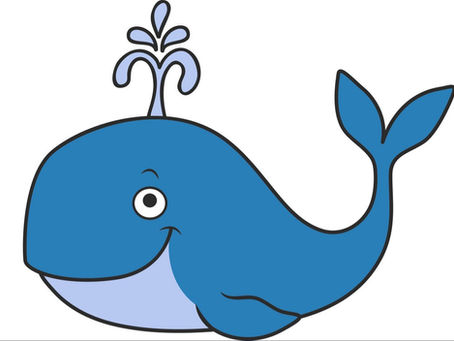 Under the Sea - The Whale
