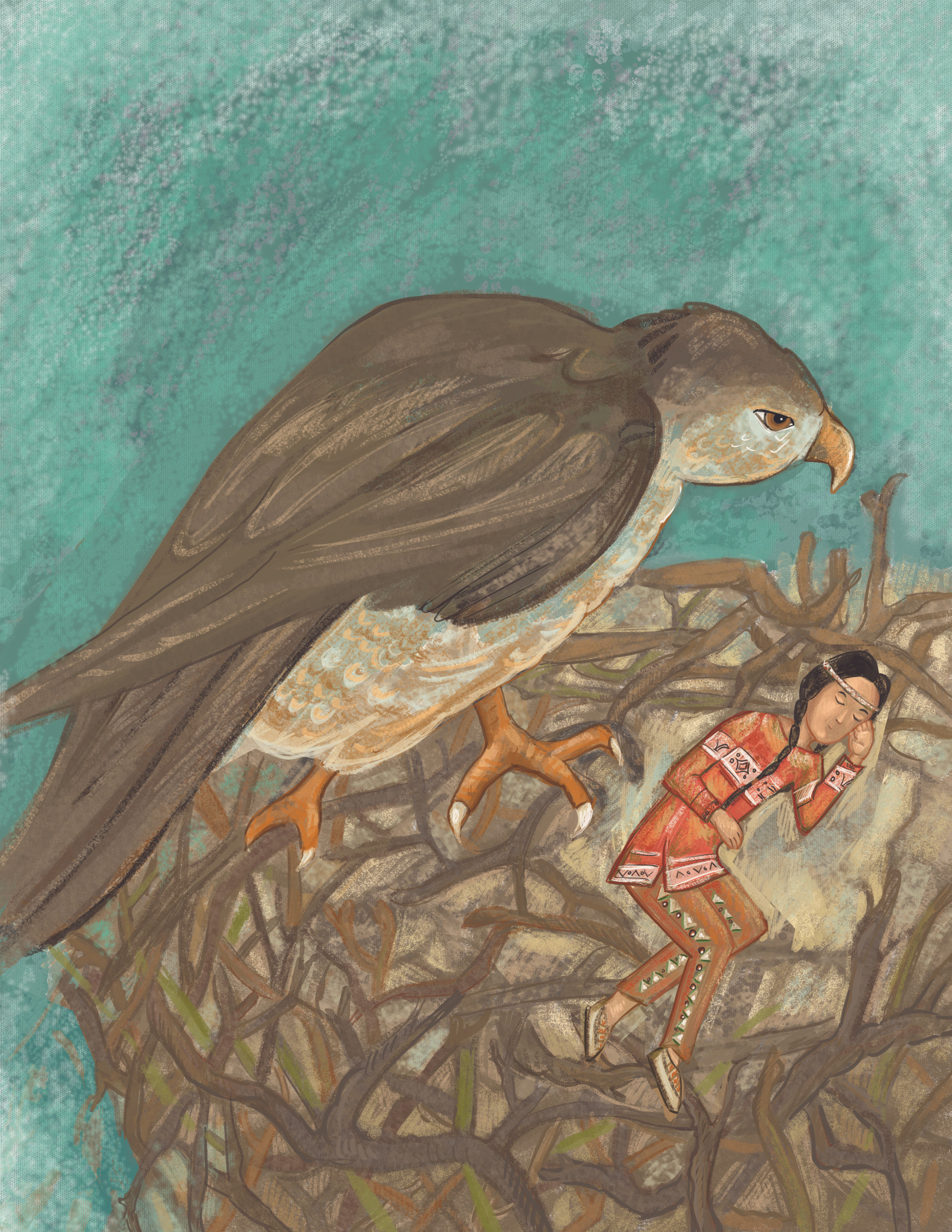 North America: The Kind Hawk - Deluxe Story and ActivityBox