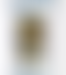 Scorpio Rising - Rosie Orr