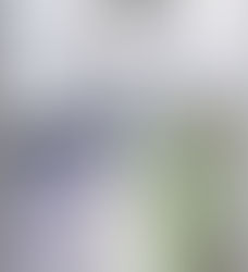 About Bingham Press Media Ltd