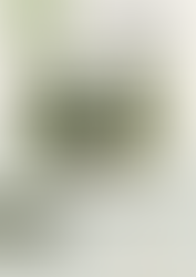 Les voix douces de la Payre