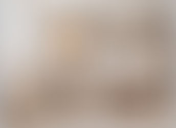 Santa Experience 2024!