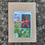 Thumbnail: Royal Catchfly, Silence regia