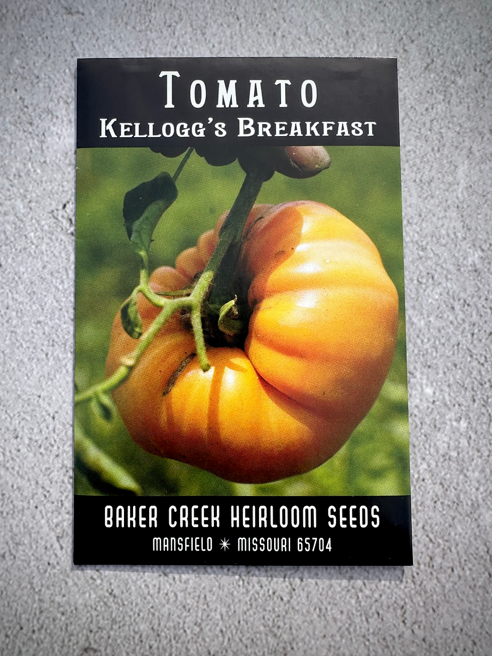 Thumbnail: Tomato Plants - Beefsteak