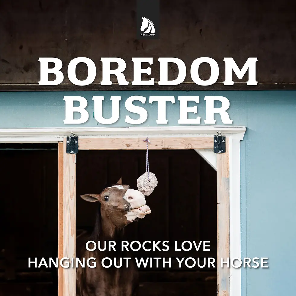 Thumbnail: Redmond Rock® - Mined Salt Lick