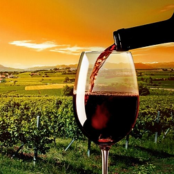vino-primitivo-Taranto_edited_edited.png
