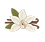 Untitled31_20250329133728.PNG
