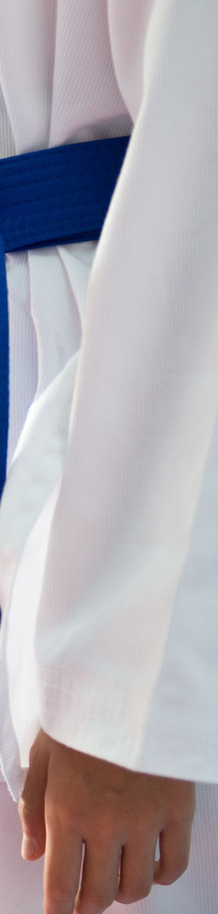 Judo Belts