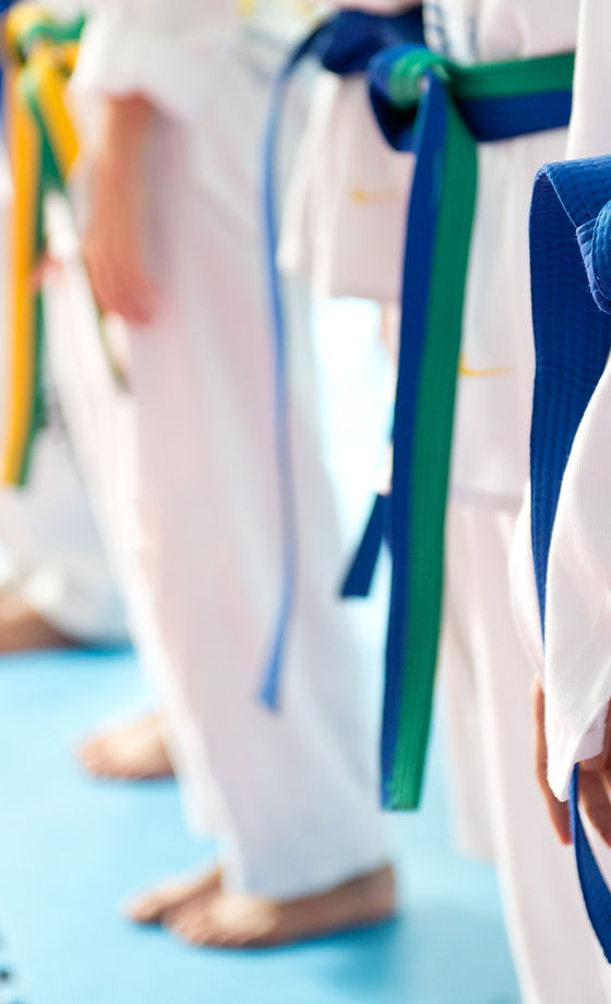 Judo Belts