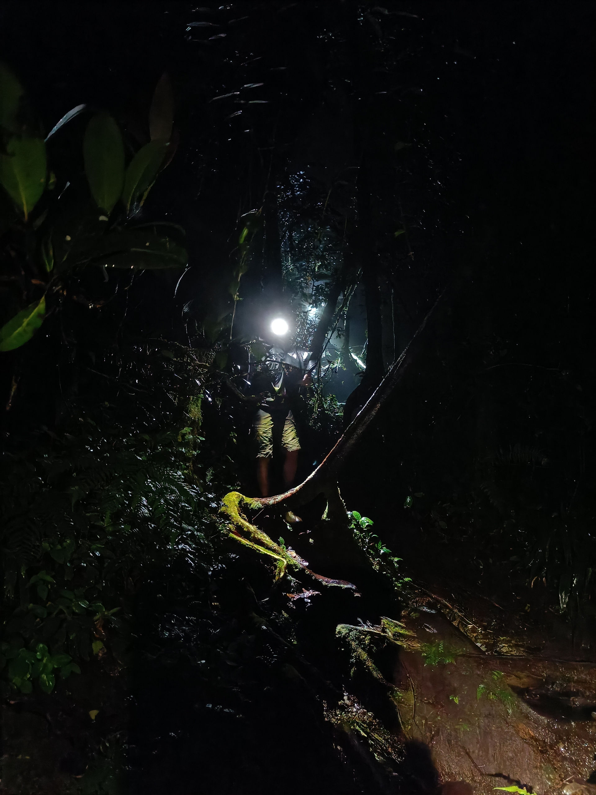 Hiking in the dark