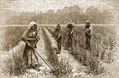 CH-Fall-1999-Rice-Woodcut-4.jpg