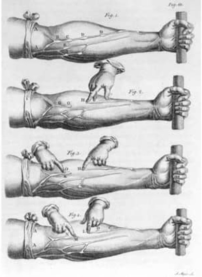 Blood-2_0-1a9b859.jpg
