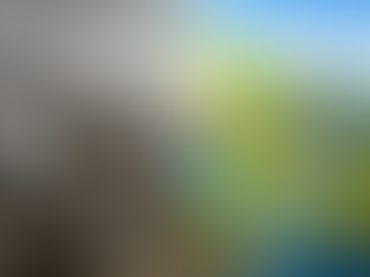 Sustainable Sanitation For Smart Cities : India Green Future