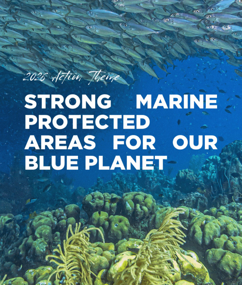 World Oceans Day 2026 – Protecting Oceans Starts Closer Than You Think