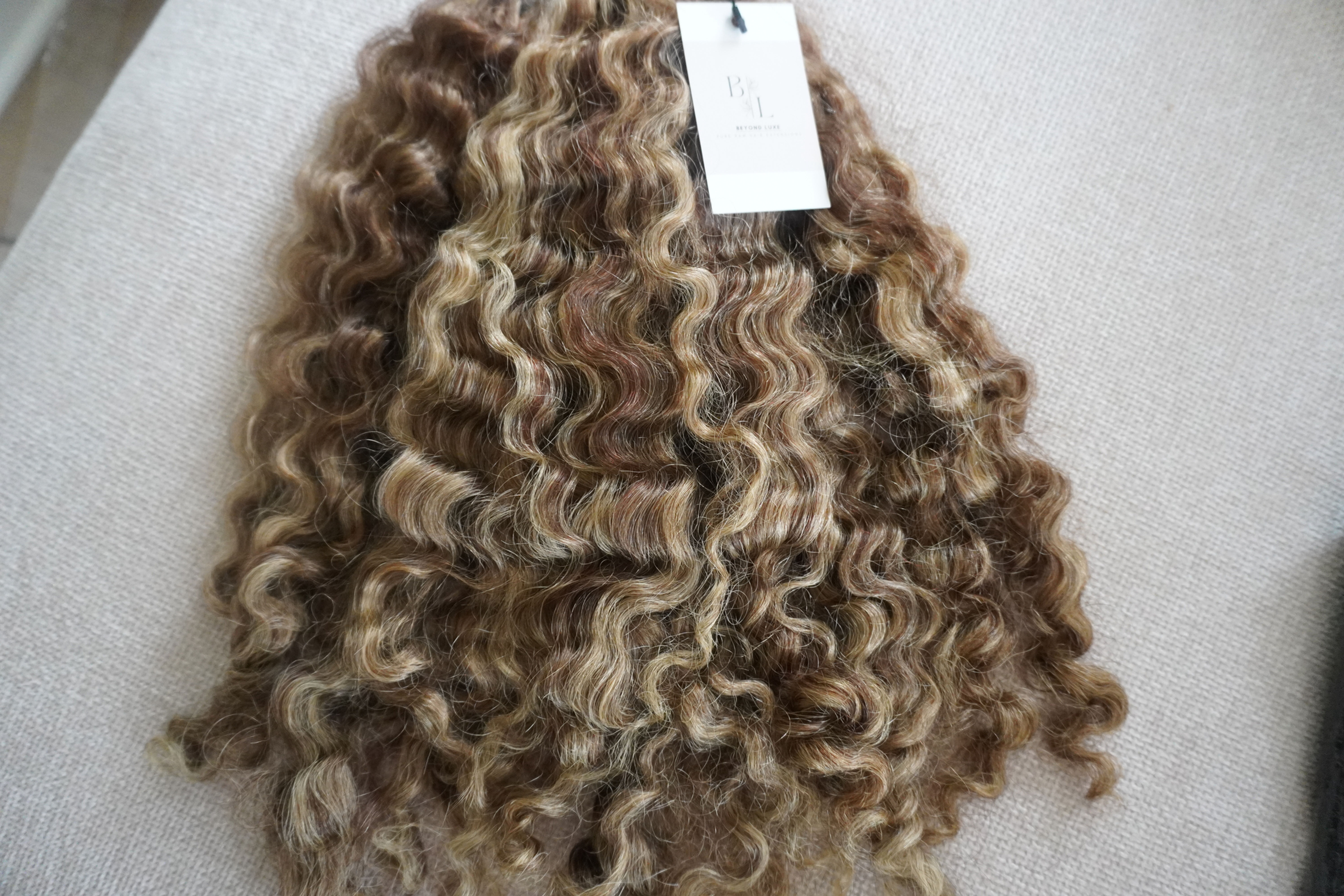 Vanilla Swirl (Burmese Curly)