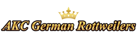 6648f790-7321-4e47-8a85-916055fb8a38.png