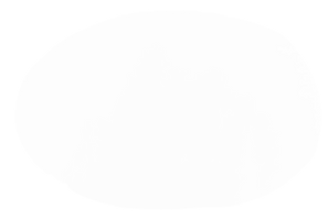 27595706.png