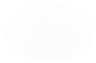 27595706.png