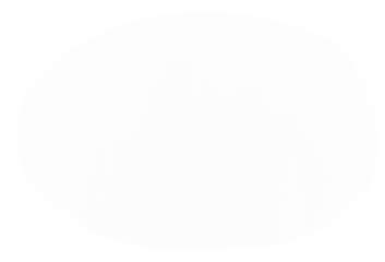 27595706.png
