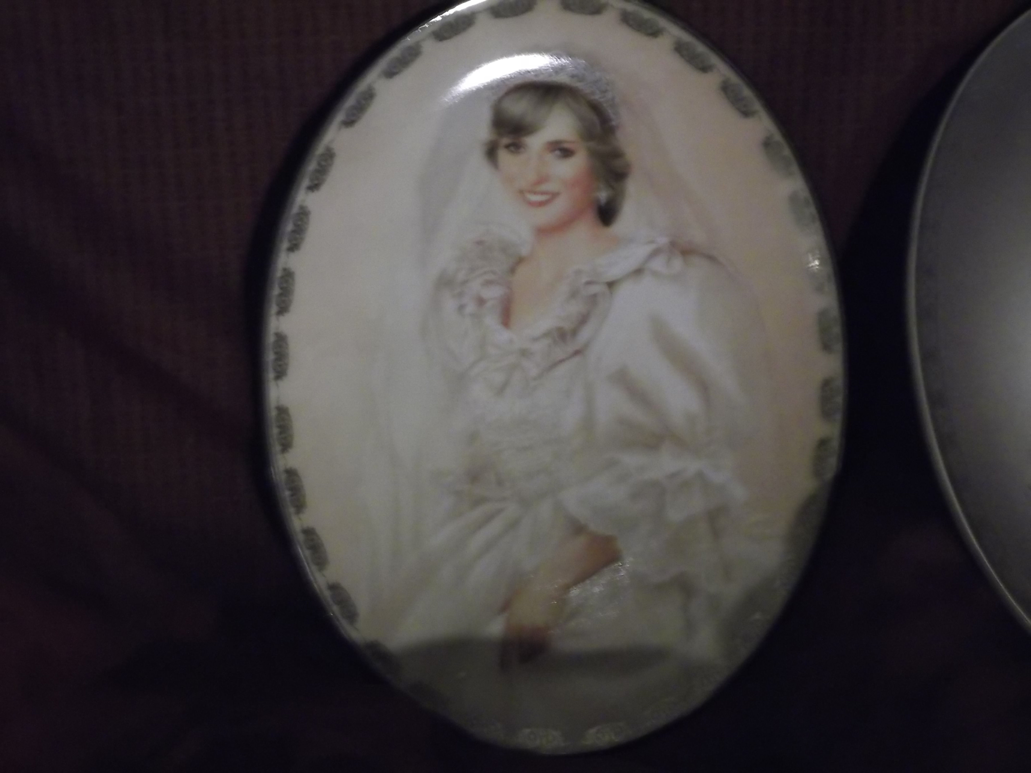 Collection Plates of the Late Princess Diana