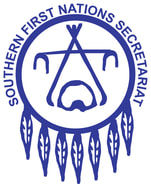 Logo - QST - SFNS