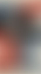 Organized crime, exception, and power in United States.