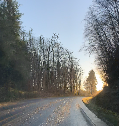 forrest road turn scribble