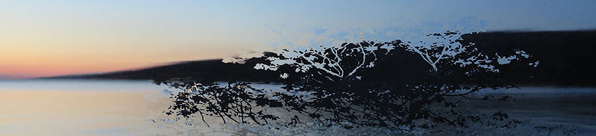 Copy of water landscape single tree_edited.jpg