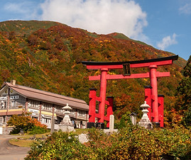 dewa sanzan, dewasanzan, dewa mountains, Yamagata, Tohoku, Yamabushi, northern Japan, go to dewa sanzan, haguro, hagurosan, mt. haguro, mount haguro, yamabushi training, yamabushi experience, gassan, yudono, Tsuruoka, Sokushinbutsu, unesco gastronomy, hiking in Japan, go to tohoku, tohoku travel, tsuruoka yamagata, tsuruoka, tsuruoka city, shonai, shonai region, shônai, shônai region, unesco creative, pagoda, Japan heritage, kamo aquarium,