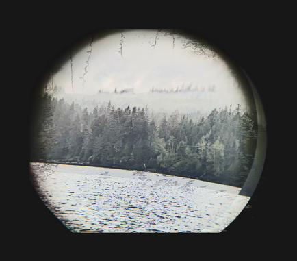 binocular displ tree blur