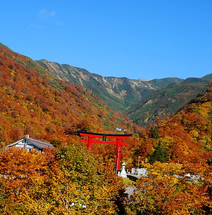 dewa sanzan, dewasanzan, dewa mountains, Yamagata, Tohoku, Yamabushi, northern Japan, go to dewa sanzan, haguro, hagurosan, mt. haguro, mount haguro, yamabushi training, yamabushi experience, gassan, yudono, Tsuruoka, Sokushinbutsu, unesco gastronomy, hiking in Japan, go to tohoku, tohoku travel, tsuruoka yamagata, tsuruoka, tsuruoka city, shonai, shonai region, shônai, shônai region, unesco creative, pagoda, Japan heritage, kamo aquarium,