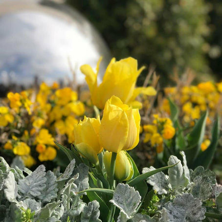 ABC of Faith- Quiet Yourself