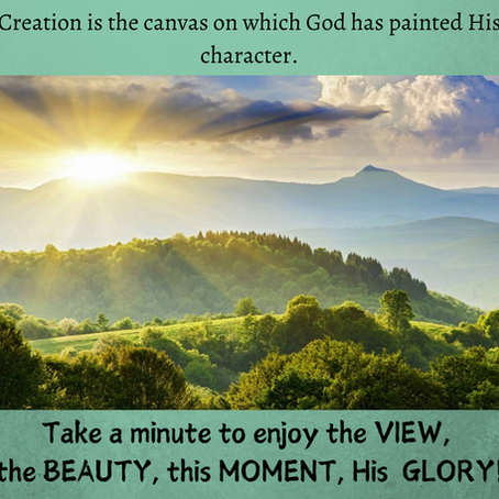 Amazing Creation