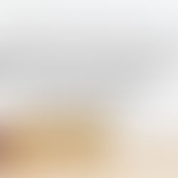 The Million Dollar Doorstop