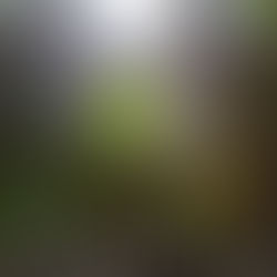 Cultivate a Heart for God