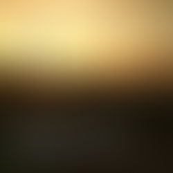 Depend on God's Word