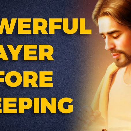 1 Sheep… 2 Sheep… 3 Sheep…