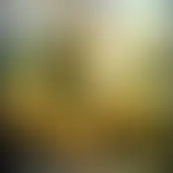 They’re Pink Sheep!