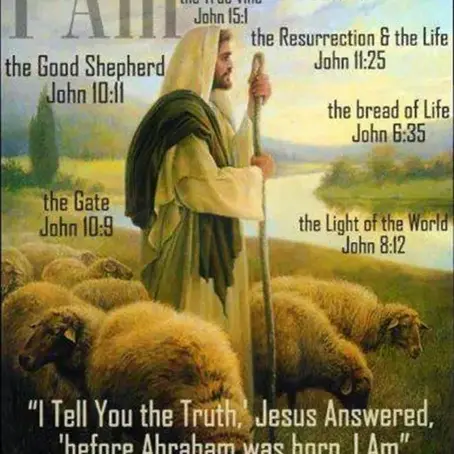 They’re Pink Sheep!