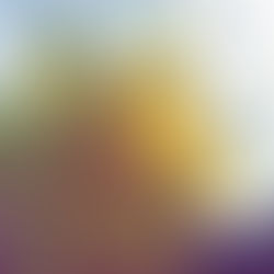 Bible Reading: See Things Clearly