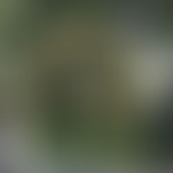 Jesus is Your Safe Place