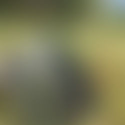 Delight in God's Word