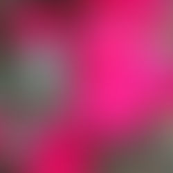 ABCs of Faith-Increase Your Faith