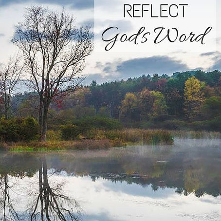 A Bunch of Hens Cackling in a Hen House