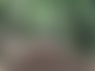 Hold on to your softness in a wild world of Mara