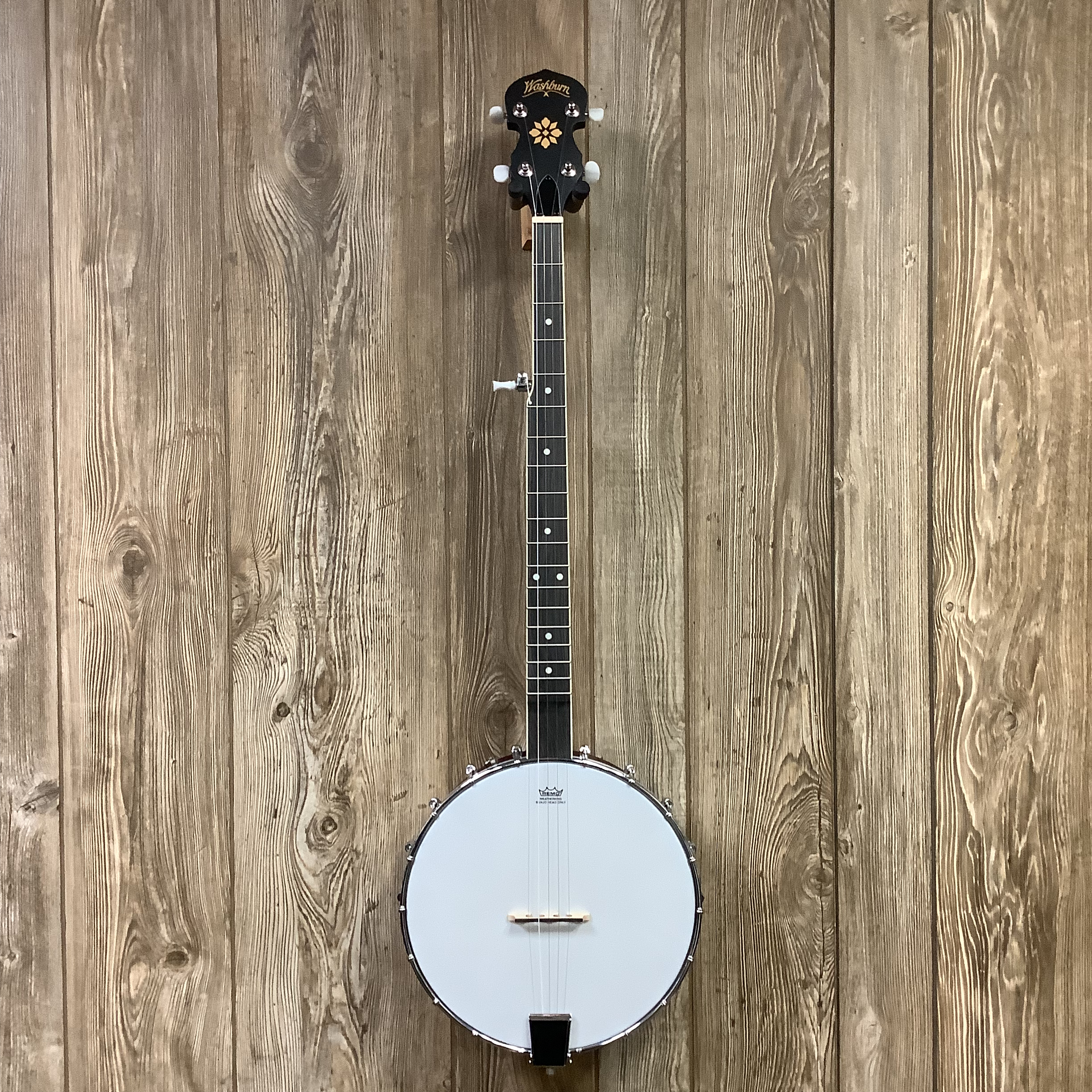 Washburn B7 Banjo